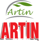 Artin